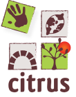 logo citrus