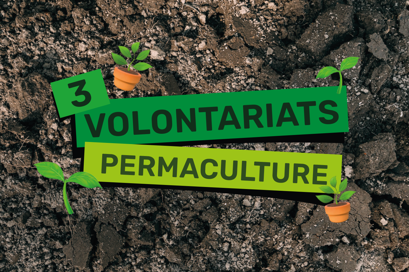 Volontariat Permaculture