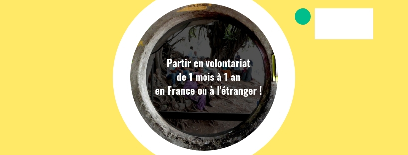 FOCUS sur Le volontariat de partenariat international (moyen - long terme : de 1 mois à 1an)
